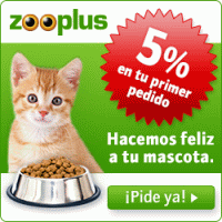 Gatos